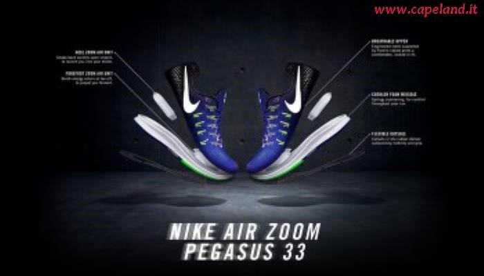 Nike Pegasus 33