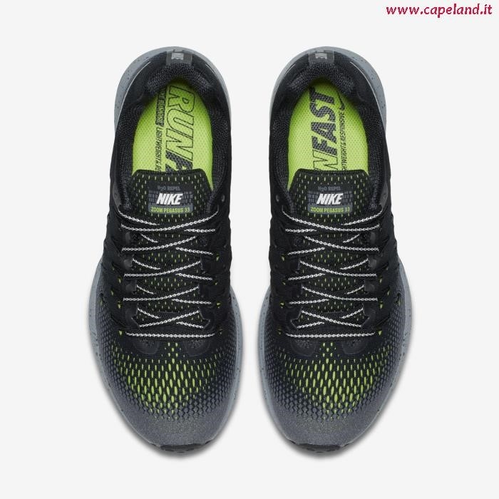 Nike Pegasus 33